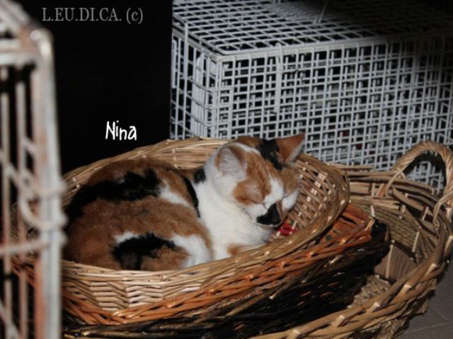 Nina al calduccio